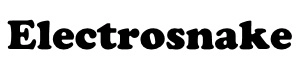 Electrosnake /public/brand/6230.webp