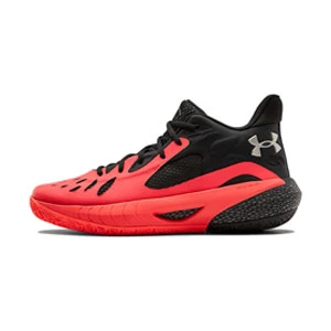 Incaltaminte p-u baschet