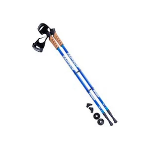 Скандинавская ходьба