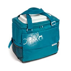 Frigidere pentru automobile