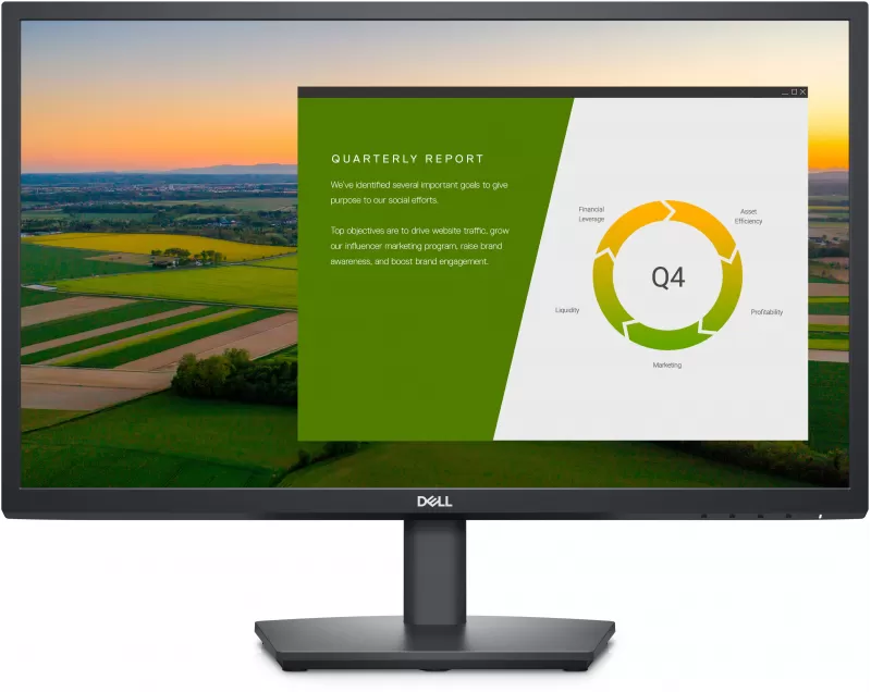 23.8'' DELL IPS LED E2422HS Black (5ms, 1000:1, 250cd, 1920x1080, 178°/178°, VGA, HDMI, DisplayPort, Speakers 2 x 2W, Heigh Adjustment, VESA ) 