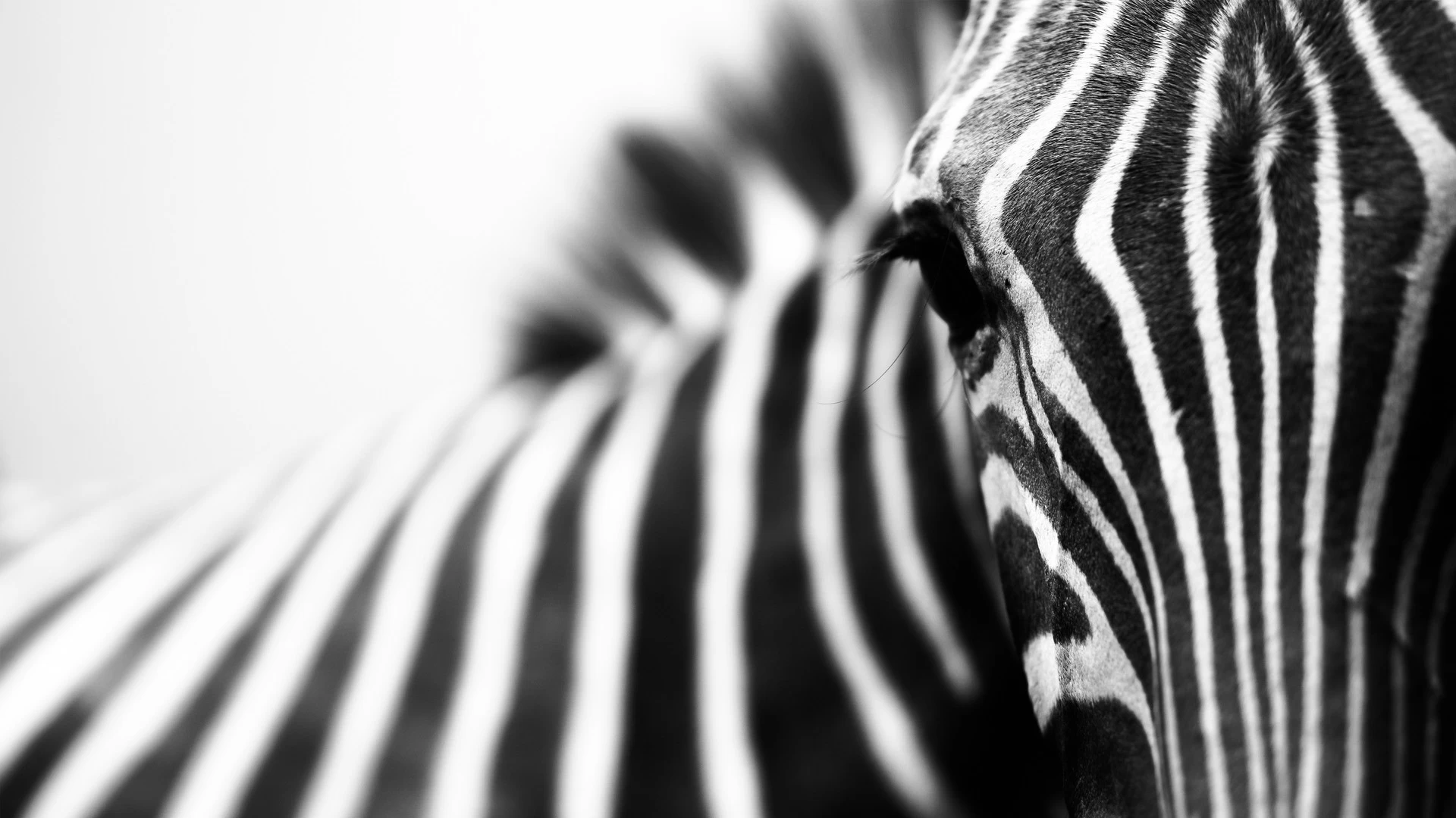 Televizor QLED Samsung QE65Q7FAAUXUA block specification img 8