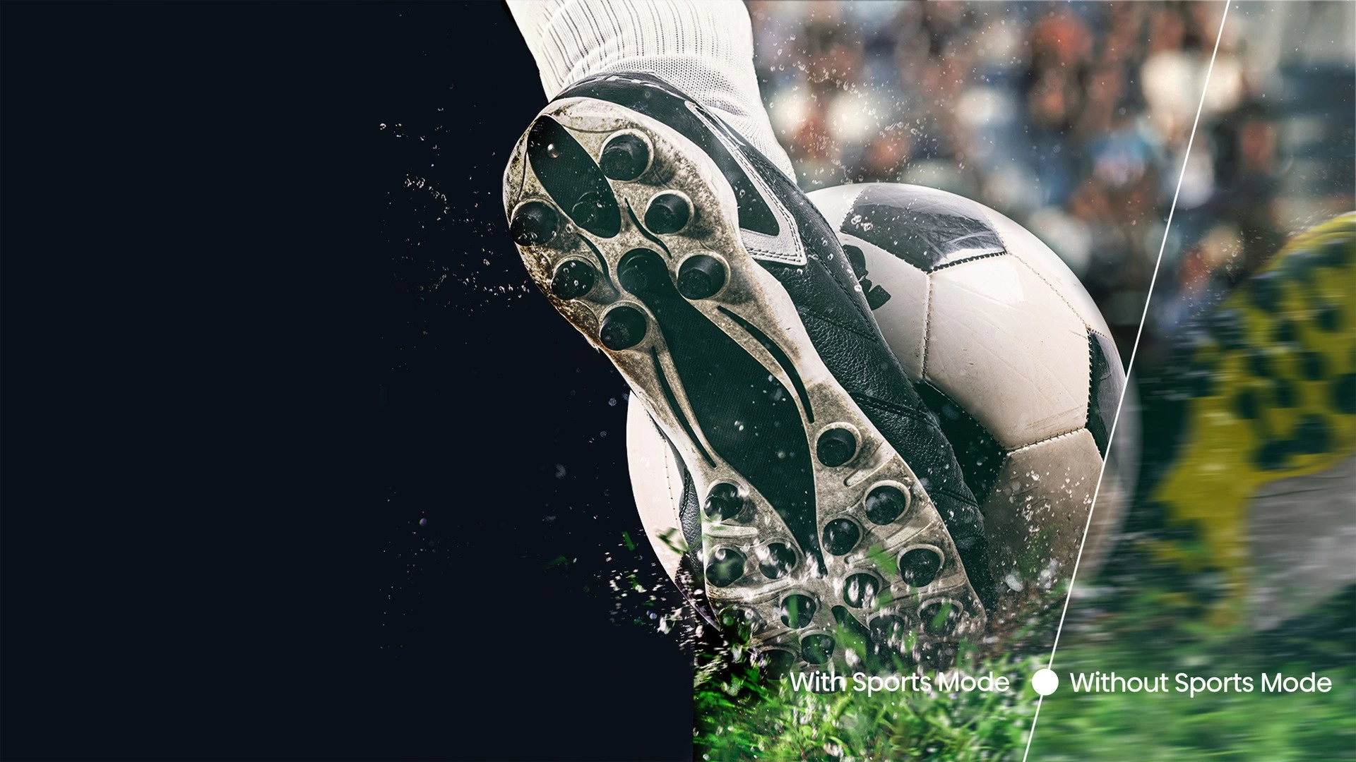 Televizor LED Philips 50PUS8319 block specification img 13