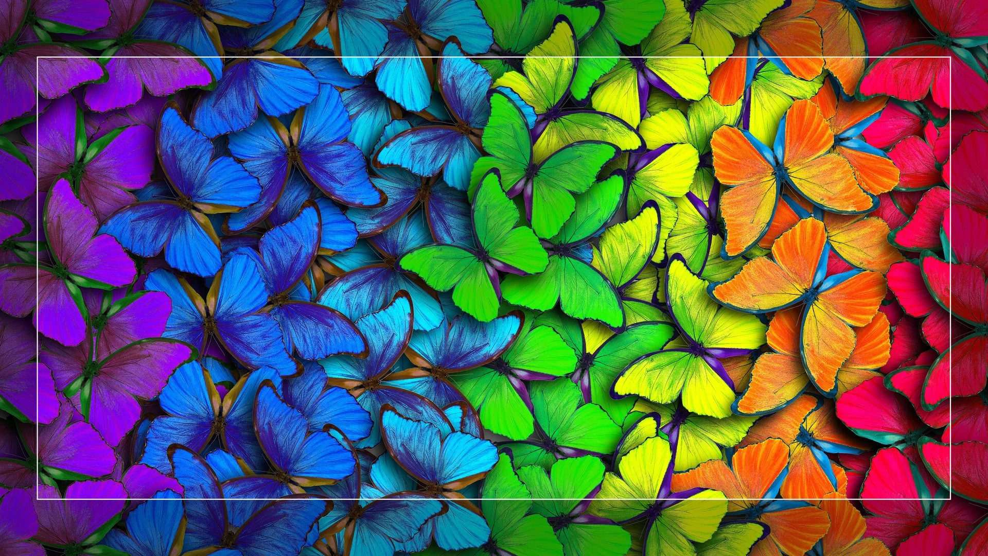 QLED телевизор Hisense 50E7Q block specification img 4