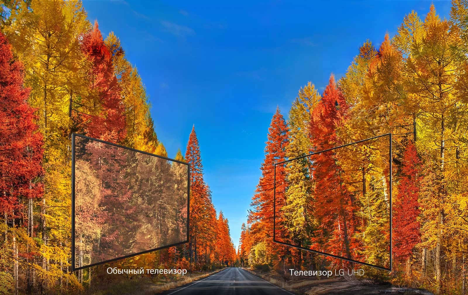 Televizor LED TCL 65P635 block specification img 7