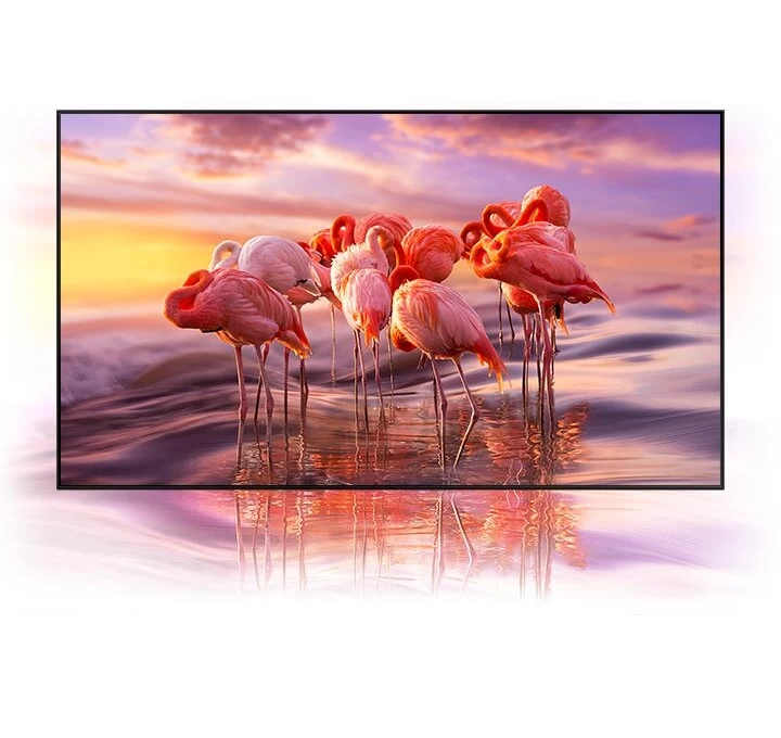 Televizor Neo QLED Samsung QE65QN900DUXUA block specification img 6