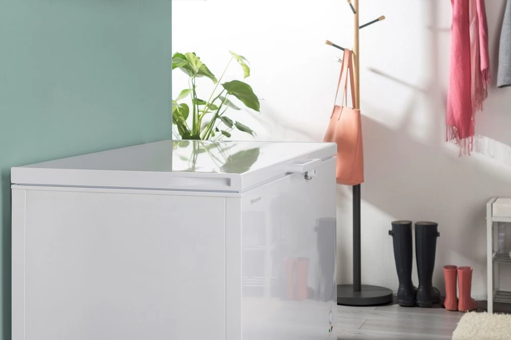 Lada frigorifica Beko CF200DWN block specification img 5