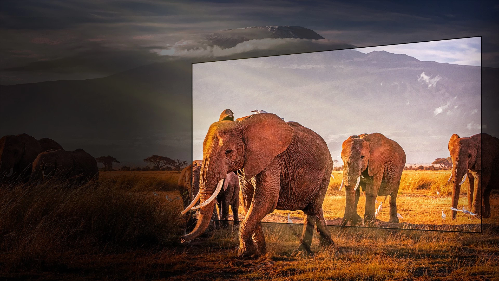 Televizor LED Hisense 32A4N block specification img 5