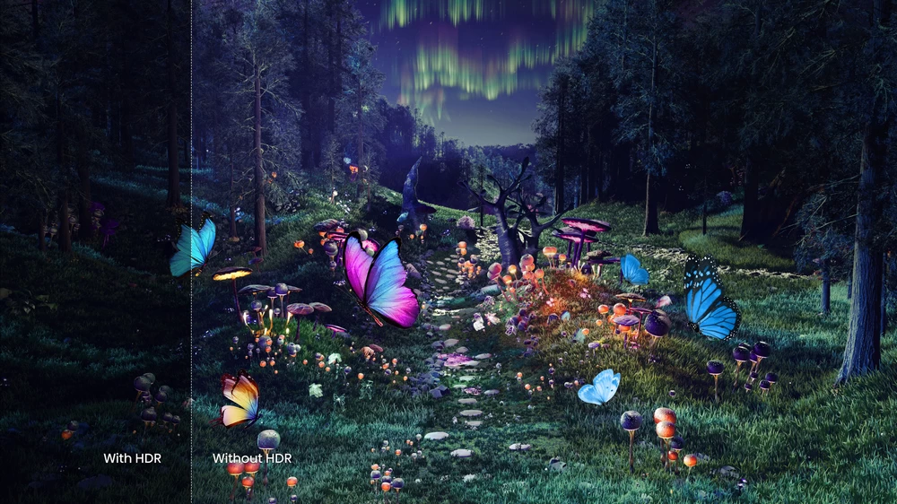 QLED телевизор Xiaomi ELA5479EU block specification img 9