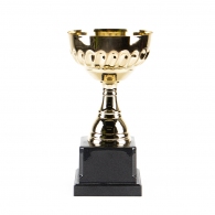Кубок HAOYUNQI Gold Cup thumbnav