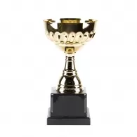 Cupe HAOYUNQI Gold Cup 