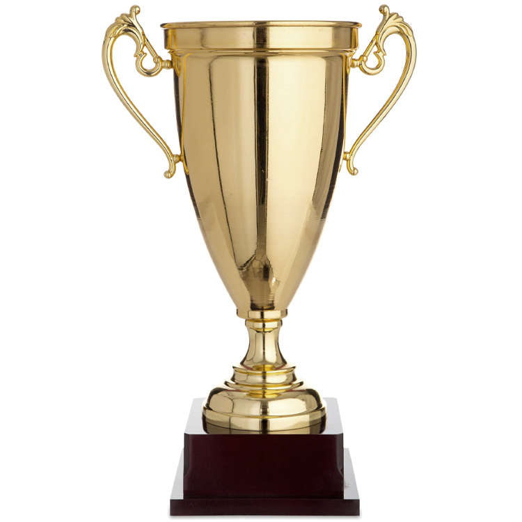 Cupe HAOYUNQI Trophy photo 