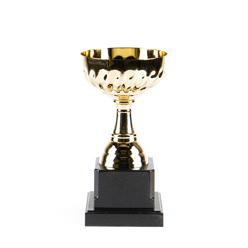 Кубок HAOYUNQI Gold Cup photo 
