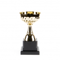 Кубок HAOYUNQI Gold Cup thumbnav