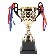 Cupe HAOYUNQI Gold Cup thumbnav