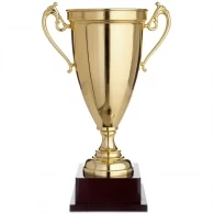 Cupe HAOYUNQI Trophy 