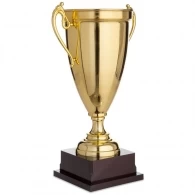 Cupe HAOYUNQI Trophy thumbnav 2