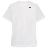 Футболка Nike M NK DF TEE RLGD RESET 