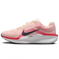 Кроссовки Nike WMNS AIR WINFLO 11 