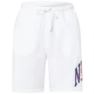 Шорты Nike M CLUB FT SHORT ARCH GX 
