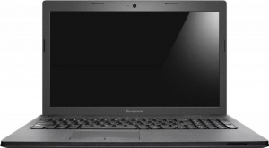 Ноутбук Lenovo G500 1000M/2GB/500GB, Celeron, 2 ГБ ГБ, DOS, Черный 