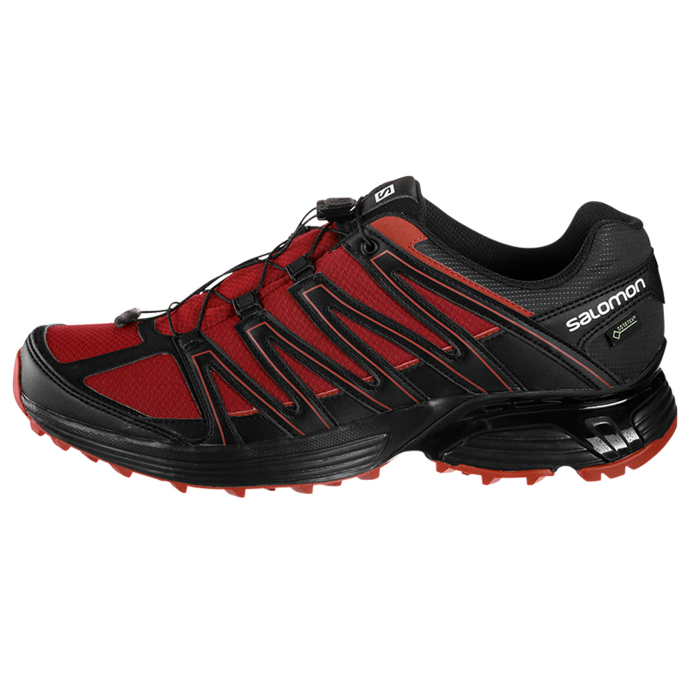 Кроссовки Salomon XT ASAMA GTX Rd photo Кроссовки Salomon XT ASAMA GTX Rd photo