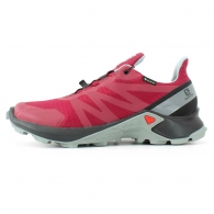 Кроссовки Salomon SUPERCROSS GTX W thumbnav