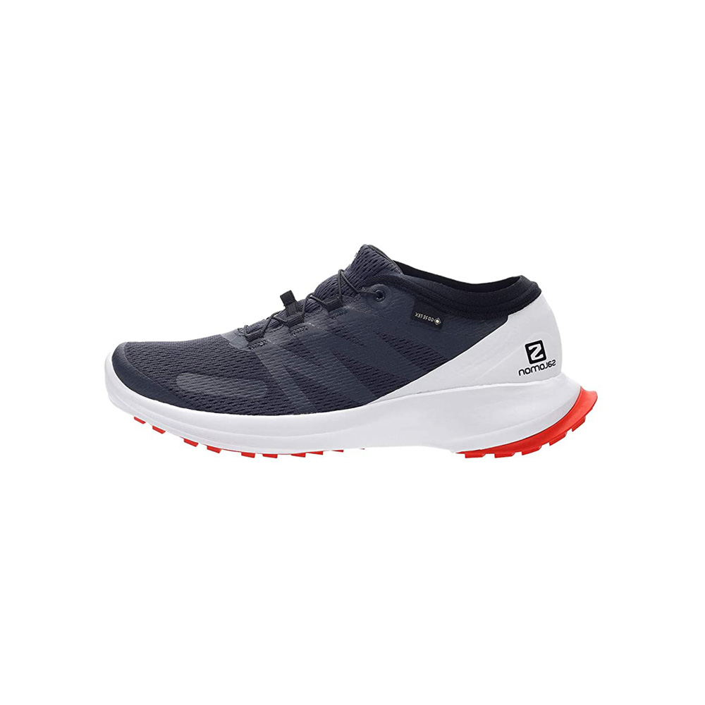 Кроссовки Salomon SHOES SENSE FLOW GTX photo 