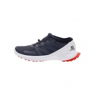 Кроссовки Salomon SHOES SENSE FLOW GTX thumbnav