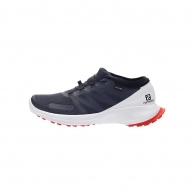 Кроссовки Salomon SHOES SENSE FLOW GTX 