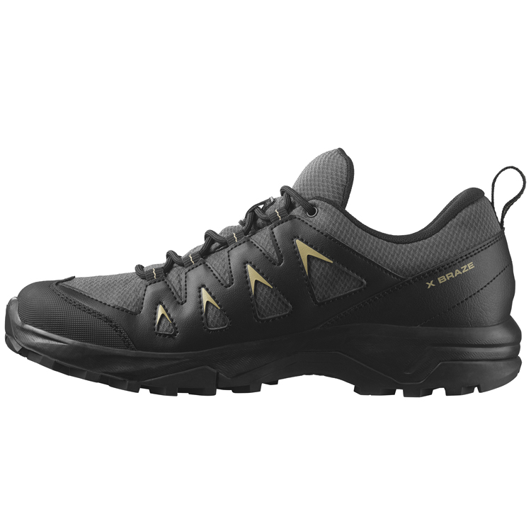 Кроссовки Salomon X BRAZE GTX photo Кроссовки Salomon X BRAZE GTX photo