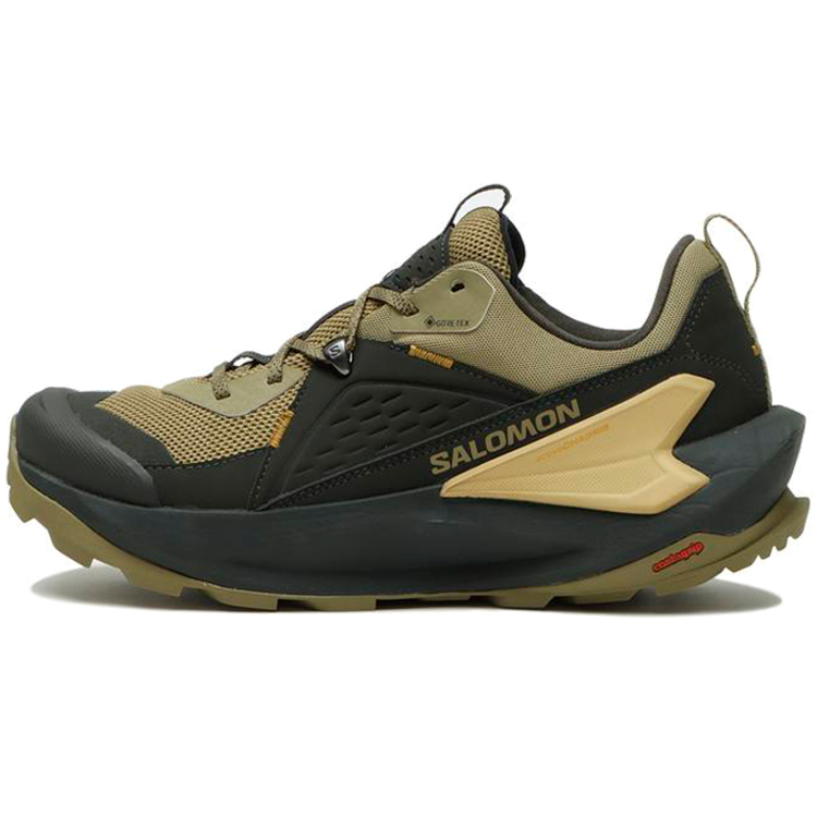 Кроссовки Salomon SHOES ELIXIR GTX photo Кроссовки Salomon SHOES ELIXIR GTX photo