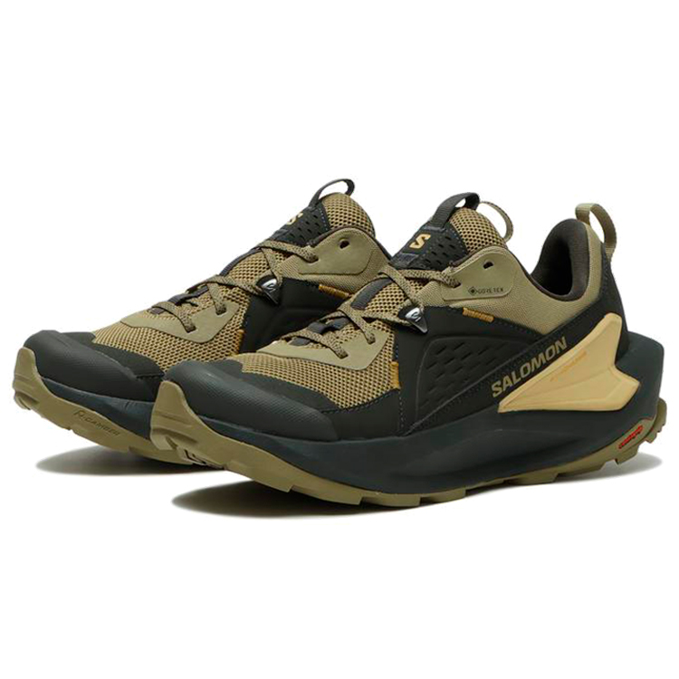 Incaltaminte Sport Salomon SHOES ELIXIR GTX pt Barbati / 41.5 / Hachi photo 3