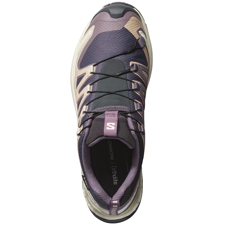 Incaltaminte Sport Salomon XA PRO 3D V9 GTX W photo 3