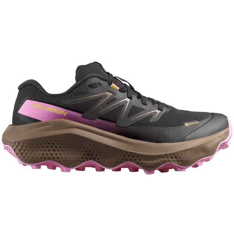Incaltaminte Sport Salomon ULTRA FLOW 2 GTX W photo 2
