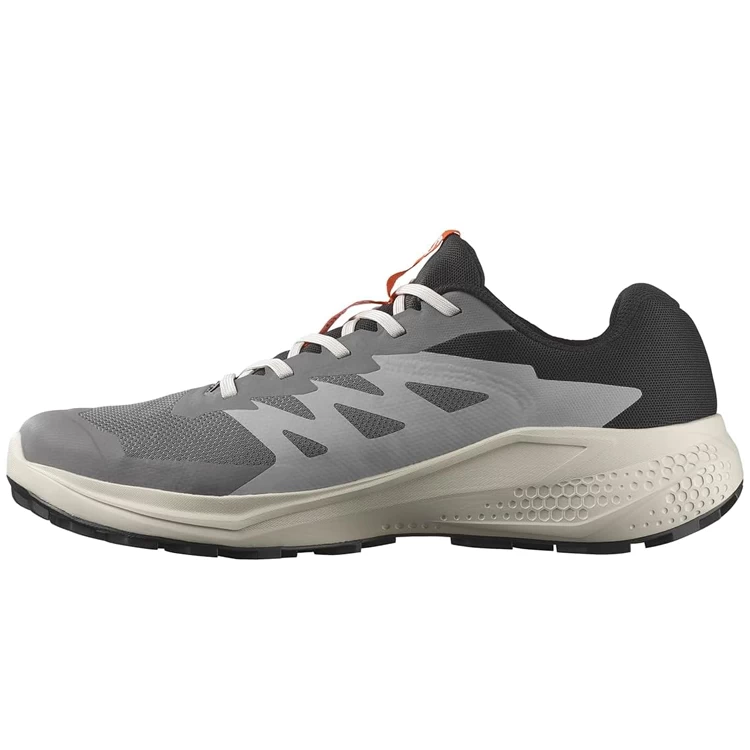 Кроссовки Salomon ALPHAGLIDE GTX M photo 1