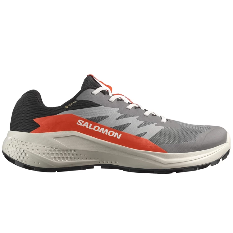 Кроссовки Salomon ALPHAGLIDE GTX M photo 2