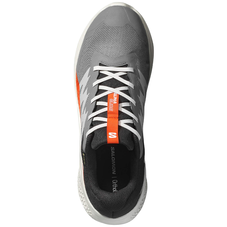 Кроссовки Salomon ALPHAGLIDE GTX M photo 3