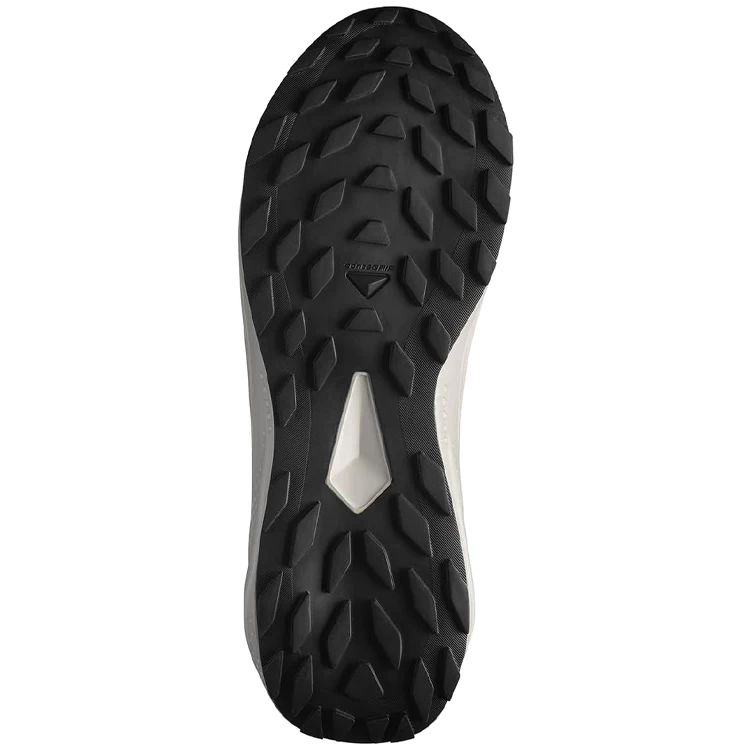 Кроссовки Salomon ALPHAGLIDE GTX M photo 4