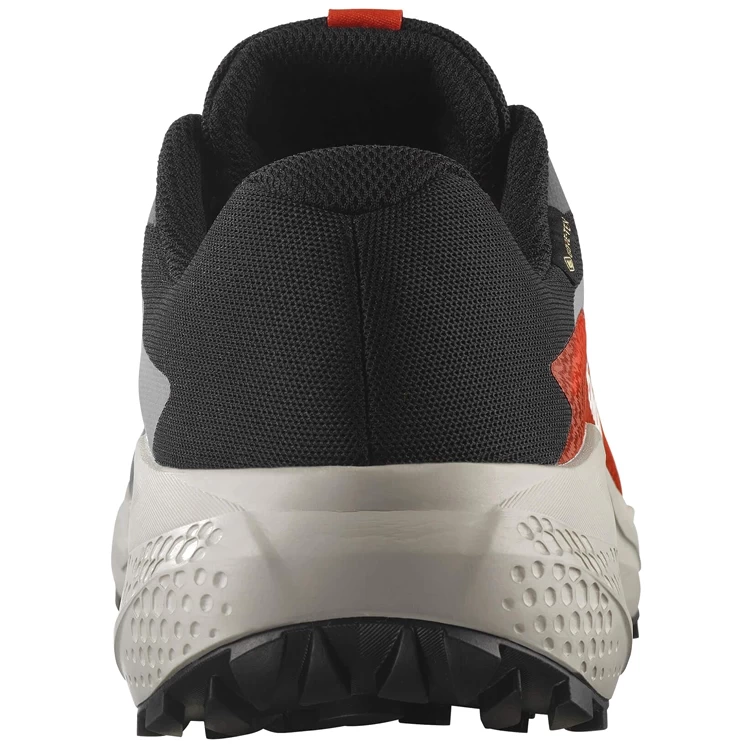 Кроссовки Salomon ALPHAGLIDE GTX M photo 5