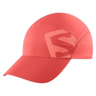 Chepiu Salomon CAP XA thumbnav