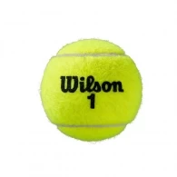 Set mingi p/u tenis 4 buc Wilson Roland Garros Clay Ct 4 Ball thumbnav 3