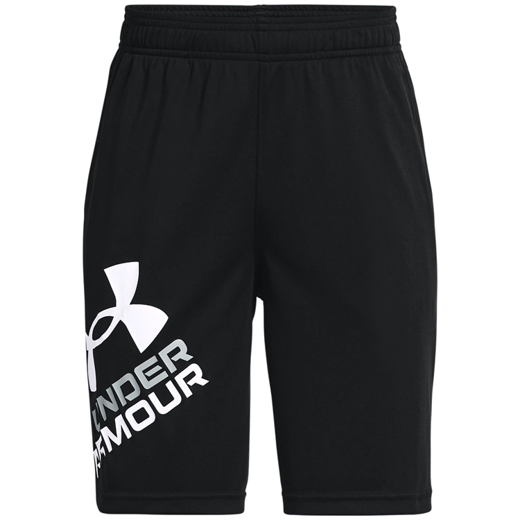 Шорты Under Armour UA BGS PROTOTYPE 2.0 LOGO SHORTS photo 