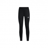 Брюки Under Armour W Challenger Training Pant thumbnav