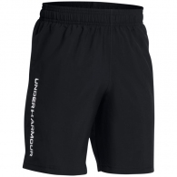 Шорты Under Armour UA Tech Woven Wordmark Short thumbnav 2