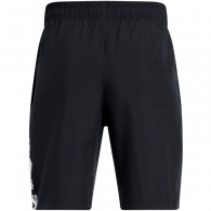 Шорты Under Armour UA Tech Woven Graphic Short thumbnav 2