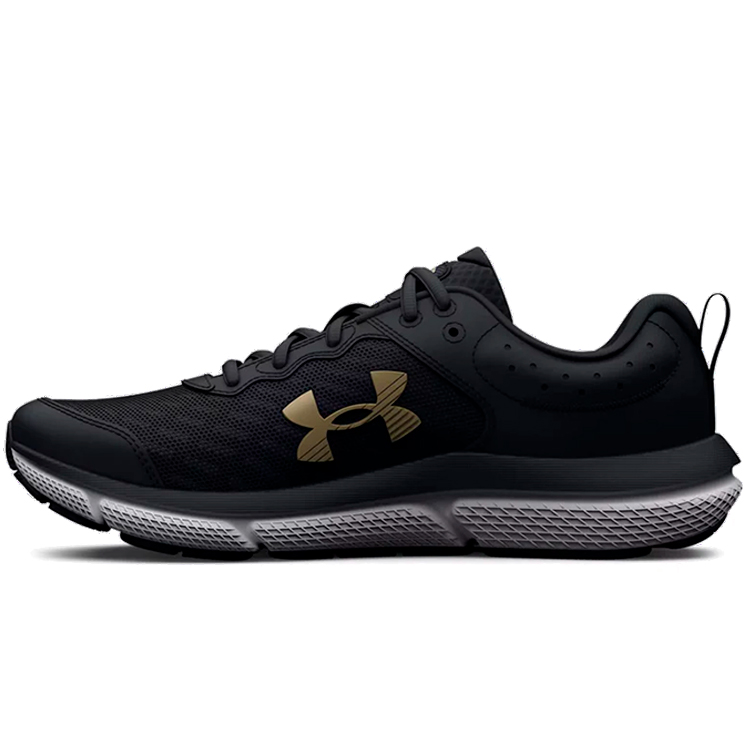 Кроссовки Under Armour UA GGS ASSERT 10 photo Кроссовки Under Armour UA GGS ASSERT 10 photo