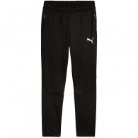 Брюки Puma EVOSTRIPE Warm Pants thumbnav