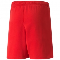 Шорты Puma teamRISE Short Jr thumbnav 2