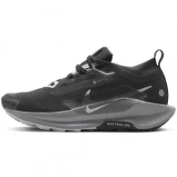 Incaltaminte Sport Nike W PEGASUS TRAIL 5 GTX 